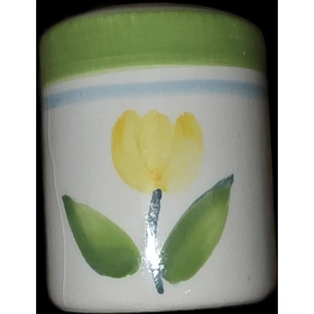 Vintage Tulip Design Cream-Orange & Green Salt And Pepper Shakers